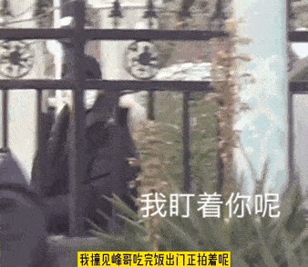 狗仔爆料无路可逃视频,无路可逃的明星隐私风暴 第1张 狗仔爆料无路可逃视频,无路可逃的明星隐私风暴 第1张